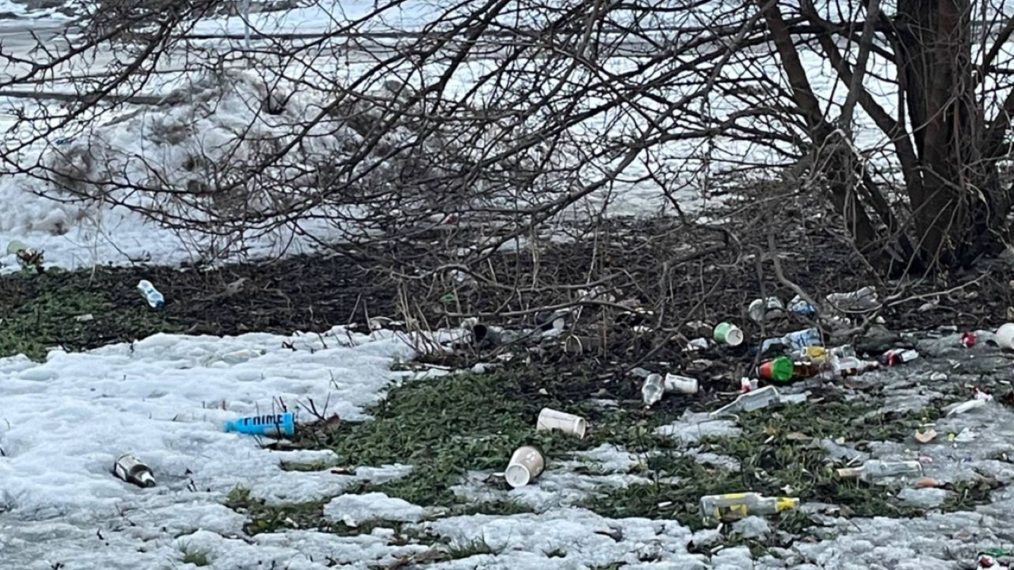 Дерево біля автобусної зупинки на лівому березі Києва Дерево біля автобусної зупинки на лівому березі Києва