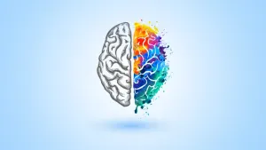 Як навести порядок у справах та у ґаджетах