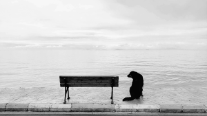 Загублені у цифрі: Як нова епоха вбиває справжнє людське спілкування