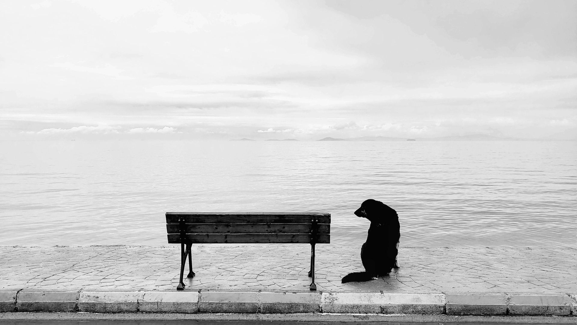 Загублені у цифрі: Як нова епоха вбиває справжнє людське спілкування